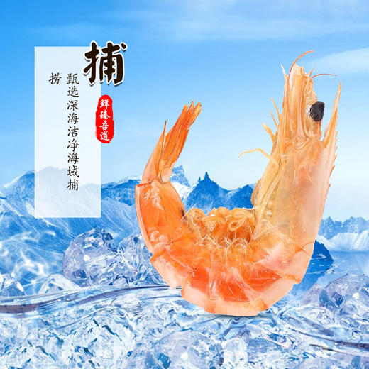 【八鲜过海,各显美味】精品海虾 大连海鲜特产 每只约25g*8只 独立包装真空锁鲜 麻辣鲜香 开袋即食 东北特产 虾仁 虾米 商品图2