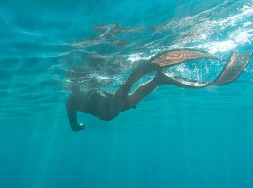 预售泡儿 商品图0