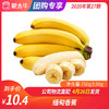 【团长】缅甸香蕉 750g±50g 商品缩略图0
