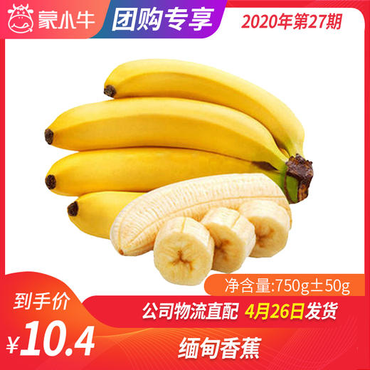 【团长】缅甸香蕉 750g±50g 商品图0