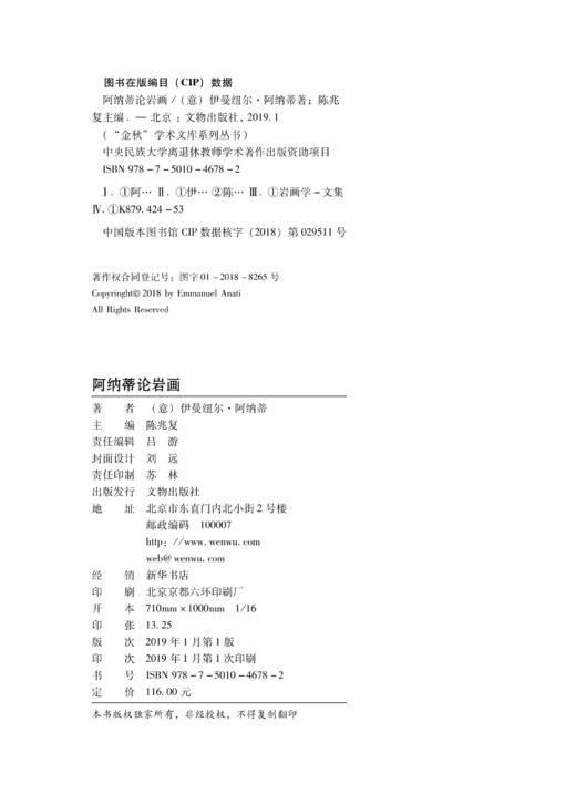 阿纳蒂论岩画 商品图2