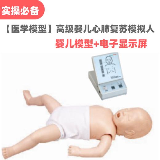【医学模型】高级婴儿心肺复苏模拟人 商品图0