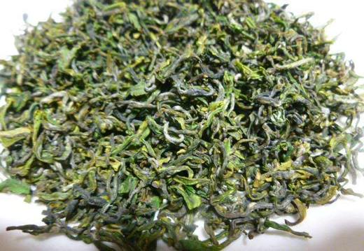 日照绿茶 商品图0
