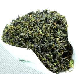 日照绿茶