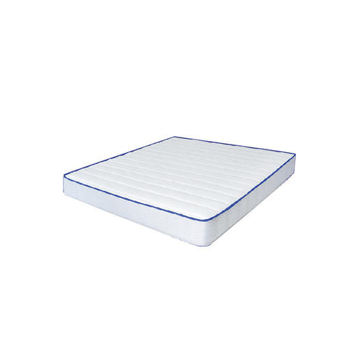 懂窝 | 菠萝斑马 床垫 Mattress 商品图0
