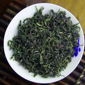 日照绿茶