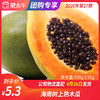 【团长】海南树上熟木瓜 500g±50g 商品缩略图0