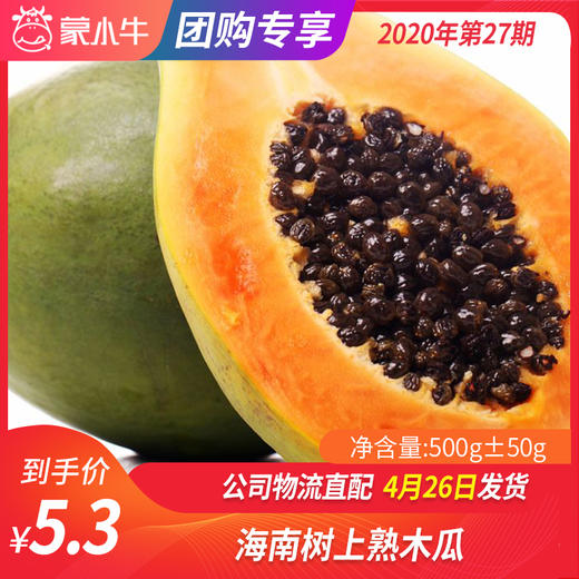 【团长】海南树上熟木瓜 500g±50g 商品图0