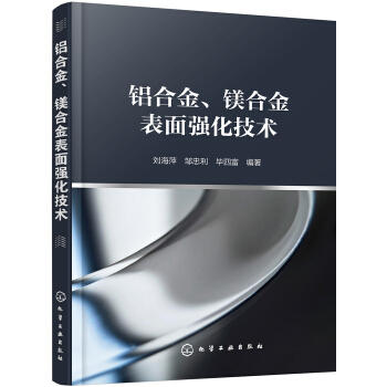 铝合金、镁合金表面强化技术 商品图0