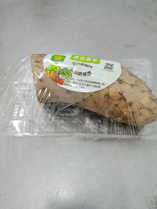山药1斤左右 商品图0