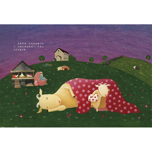 小羊睡不着(聪明豆绘本系列.珍藏版) 商品图1