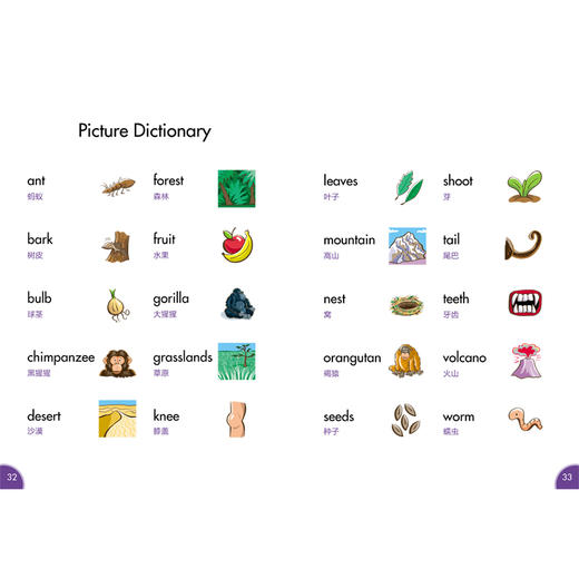 丽声海豚英语分级读物第五级下 8册 点读版扫码听音频少儿英语分级阅读STEAM教育理念 阅读写作听力口语 美音 商品图2