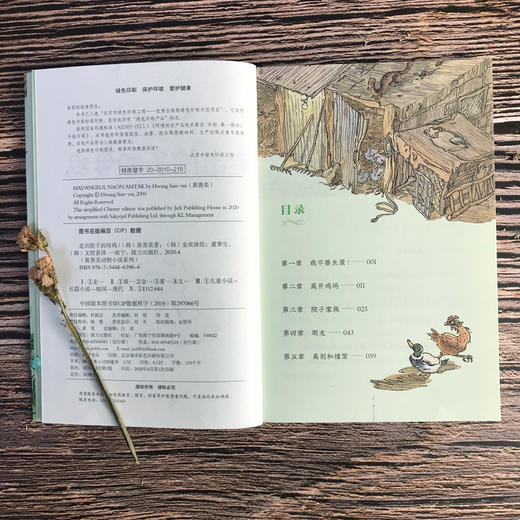 黄善美动物小说系列 走出院子的母鸡 商品图4
