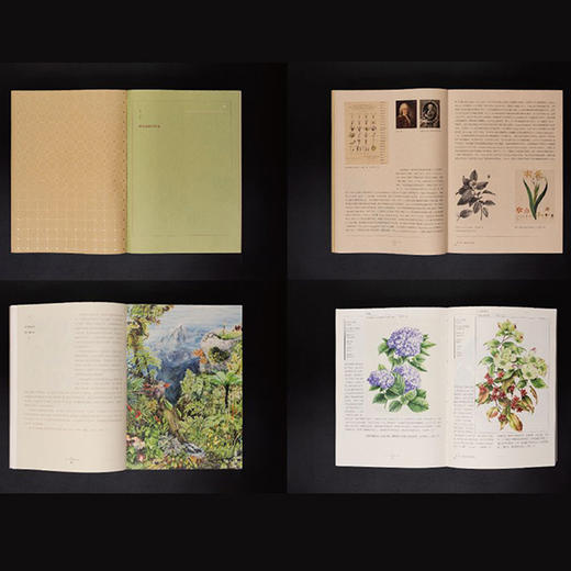 【2019中国好书】嘉卉 百年中国植物科学画(典藏版) 植物手绘图鉴大百科 植物详解书 中国植物志中国植物图鉴花卉手绘图鉴花草物语 商品图4