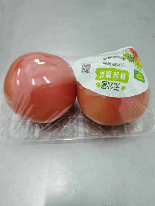 西红柿1斤左右 商品图0