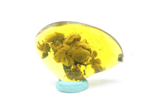 花珀•永生花 墨西哥蓝珀吊坠 收藏级 商品图4