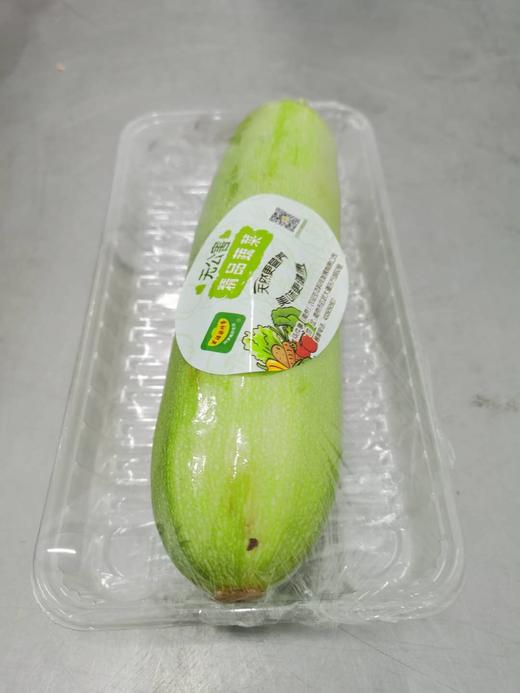 西葫芦1斤左右 商品图0