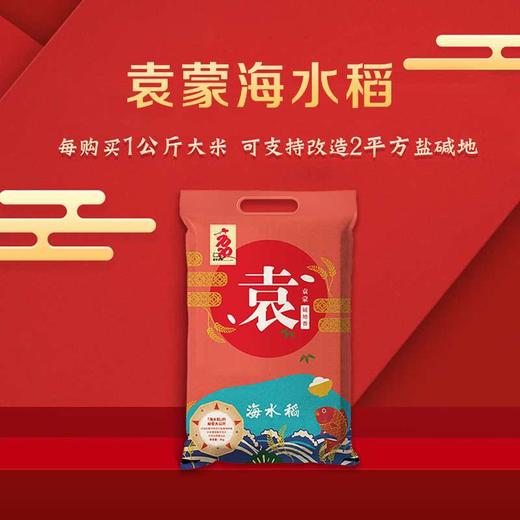 袁蒙海水稻 海水稻碱地香米 商品图3