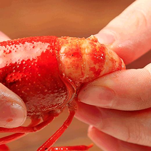 方便即食白兰地熟醉小龙虾 商品图5