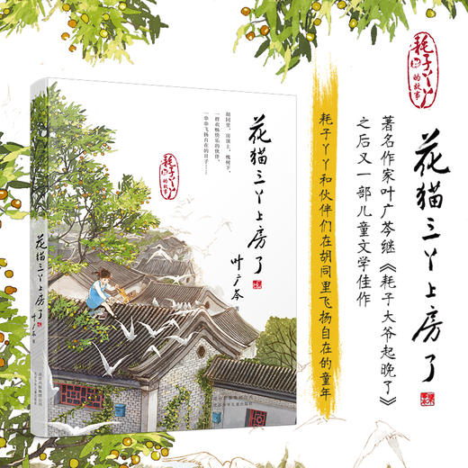 【2019中国好书】预售 花猫三丫上房了 6-12岁 叶广芩小学生阅读 商品图1