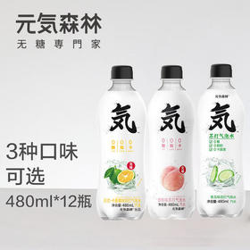 元气森林气泡水480ml