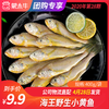 【团长】海王野生小黄鱼 400g 商品缩略图0