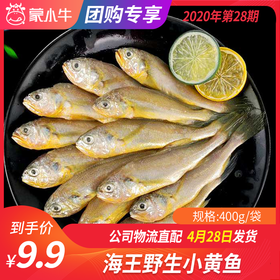 【团长】海王野生小黄鱼 400g