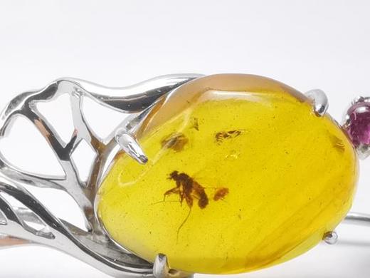 虫珀 灵 墨西哥蓝珀18K白金耳饰 收藏级 商品图6