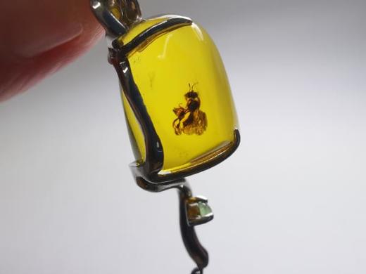 虫珀 灵 墨西哥蓝珀18K白金耳饰 收藏级 商品图8