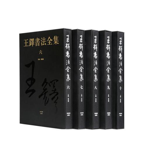 王铎书法全集6~10集续编黄思源主编 草书行书毛笔书法字帖临摹中国书法艺术收藏鉴赏河南美术出版社 商品图0