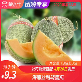 【团长】海南丝路晓蜜瓜 750g±50g