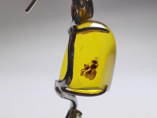 虫珀 灵 墨西哥蓝珀18K白金耳饰 收藏级 商品图7
