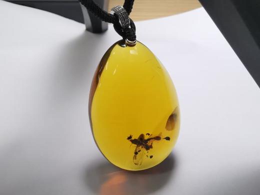 虫珀•迷 墨西哥蓝珀吊坠 收藏级 商品图2
