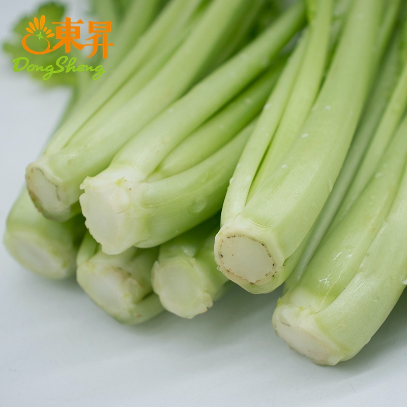 东升小芥菜 春菜 广州生鲜配送400g