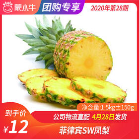 【团长】菲律宾SW凤梨 1.5kg±150g