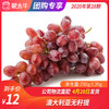 【团长】澳大利亚无籽提 250g±20g 商品缩略图0