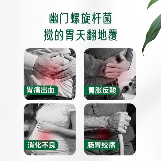 【原装进口】护胃经典——麦斯特凯斯乳香咀嚼片 商品图3
