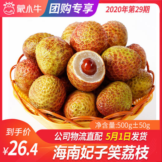 【团长】海南妃子笑荔枝	500g±50g 商品图0