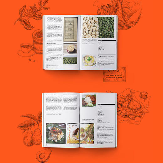 【“悦享”生活】食物简史  林江 著 食帖 食物史 食物起源 饮食文化 人类简史 基础食材 经典美食 中信出版社图书 正版 商品图6