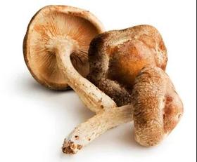  香菇有抗病毒性？这六种蘑菇的营养价值，远比你想象的高 