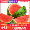 【团长】云南麒麟西瓜 2.5kg±300g 商品缩略图0