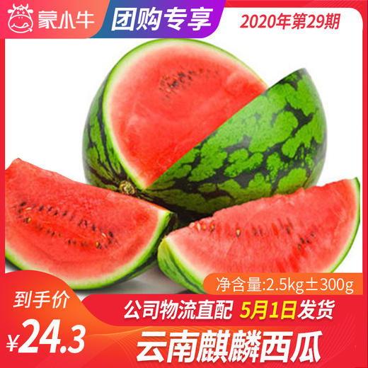 【团长】云南麒麟西瓜 2.5kg±300g 商品图0