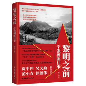 黎明之前：宁强剿匪往事