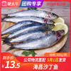 【团长】海昌沙丁鱼	300g/袋 商品缩略图0