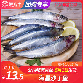 【团长】海昌沙丁鱼	300g/袋