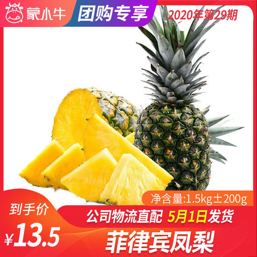 【团长】菲律宾凤梨 1.5kg±200g 商品图0