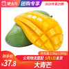 【团长】大青芒 2.5kg±300g 商品缩略图0