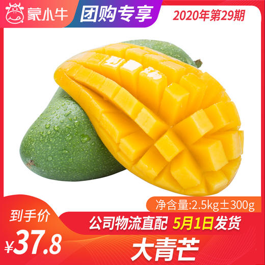 【团长】大青芒 2.5kg±300g 商品图0