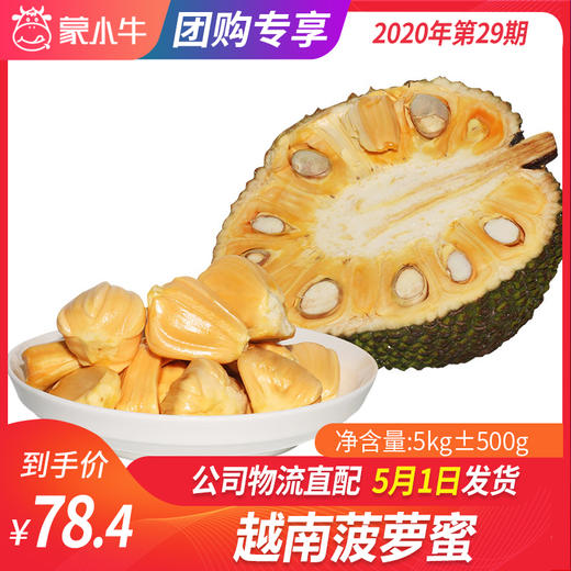 【团长】越南菠萝蜜5kg±500g 商品图0