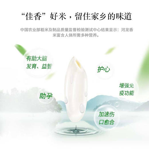 河龙优质贡米10斤/装 商品图3